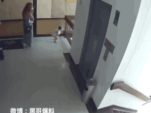 Những khoảnh khắc thót tim chứng minh cho năng lực 'ứng biến như thần' của con người