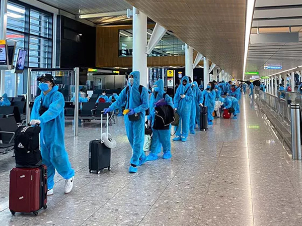 Cảnh giác lừa bán vé máy bay đưa công dân Việt Nam về nước