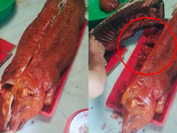 Hoảng hồn với clip mua thịt quay trúng ngay heo mẹ đang có chửa, nhìn kĩ mới phát hiện hóa ra chỉ là cú lừa