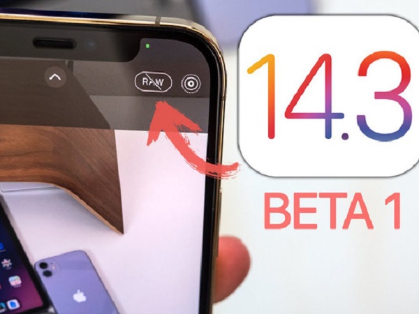 iOS 14.3 Beta ra mắt: Chụp ảnh RAW trên iPhone 12 Pro, hỗ trợ tay cầm PS5, theo dõi thai kỳ