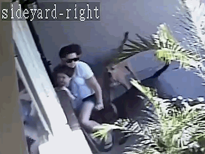 Video: Bị chó dữ lao vào cắn xé, mẹ lấy thân mình che chắn cho con trai