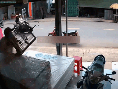 Tên trộm lỡ tay để chim sổ lồng khiến chủ nhà 'nóng mặt' vác gậy đuổi theo