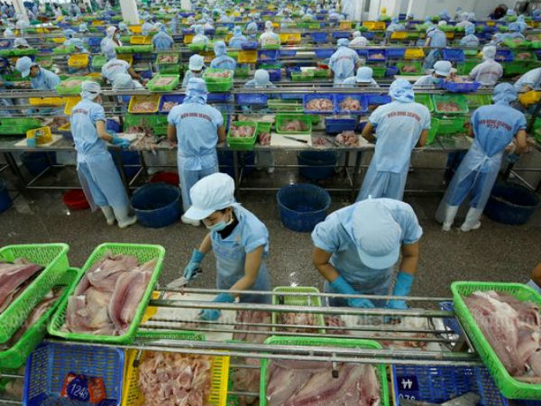 IMF: Tăng trưởng GDP Việt Nam 2020 thuộc nhóm cao nhất thế giới