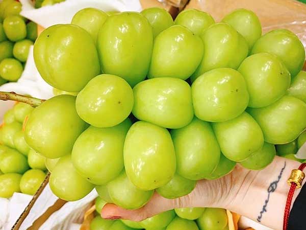 Loại nho to hơn trứng gà: Giá 7 triệu/chùm, có tiền khó mua