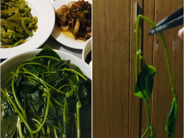 Vợ đi làm chồng ở nhà nấu cơm, nói là có món 'mồng tơi dễ gắp' nhưng ai ngờ khi lên mâm cô vợ lại suýt ngất vì hình thù kỳ lạ của món ăn