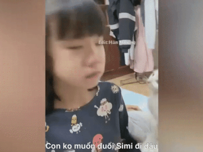 Chú mèo nghịch ngợm nên bị phụ huynh tống cổ, cô bé khóc lóc thảm thiết xin giữ nhưng hành động 'côn đồ' của mèo ta khiến ai cũng phì cười