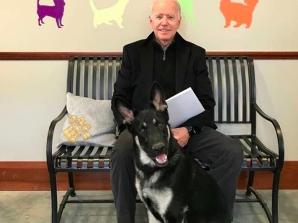 Tổng thống Mỹ đắc cử Joe Biden bị thương