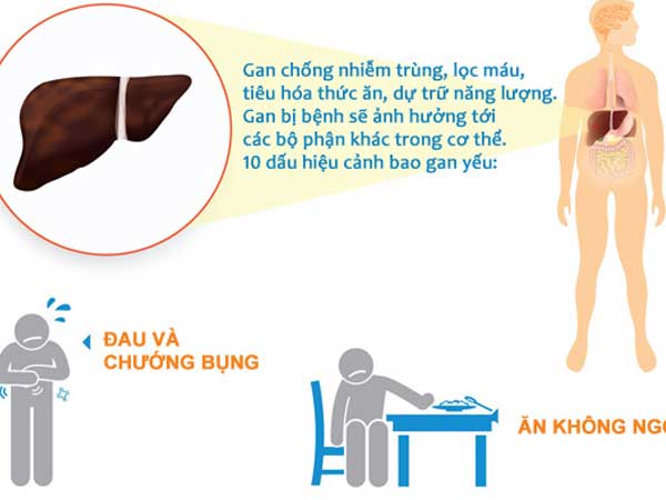Các dấu hiệu thấy rõ cảnh báo người bị bệnh gan