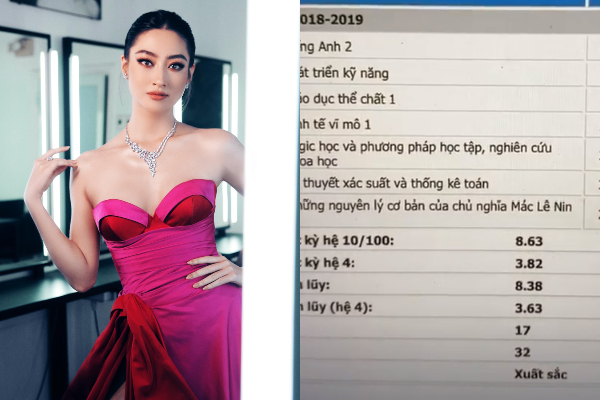Lương Thùy Linh: Hoa hậu không phải một nghề, không chấp nhận mình học dốt