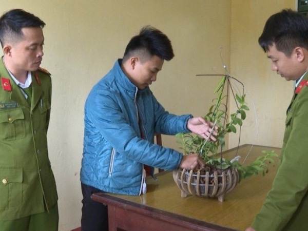 Bán lan đột biến... dán bằng keo 502, chiếm đoạt cả tỷ đồng