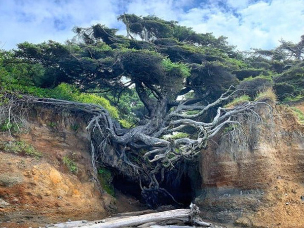 Những bức hình thiên nhiên thú vị và hiếm có tới nỗi xem xong còn chẳng hiểu là thật hay Photoshop