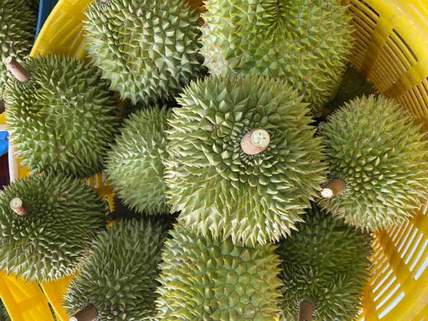 Trung Quốc ồ ạt gom mua, trái cây Việt tăng giá kỷ lục