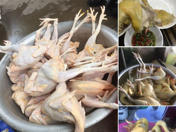 Gà ri 45 nghìn/kg, sự thật được người nuôi tiết lộ