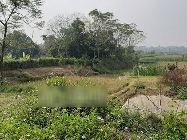 Bắc Giang: Phát hiện đôi nam nữ tử vong chưa rõ nguyên nhân trong chòi cá