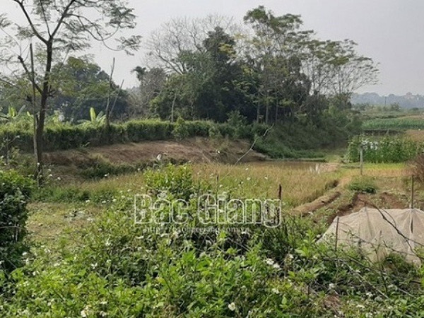 Đôi nam nữ tử vong bất thường trong lều cá giữa cánh đồng ở Bắc Giang