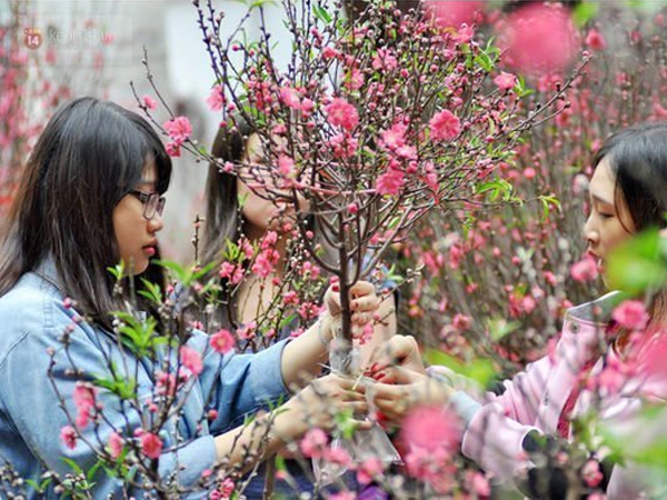 Cập nhật: Lịch nghỉ tết Nguyên đán Tân Sửu 2021 của các trường đại học, có trường nghỉ gần 1 tháng