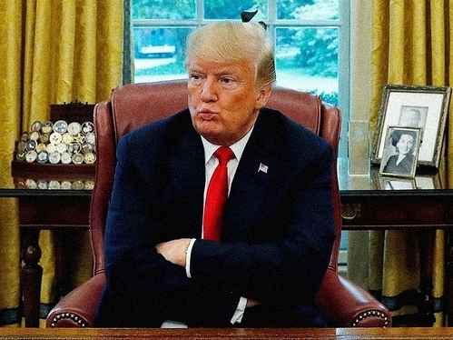 Đồng minh của tổng thống Trump tại Quốc hội muốn 'lật kèo' kết quả bầu cử