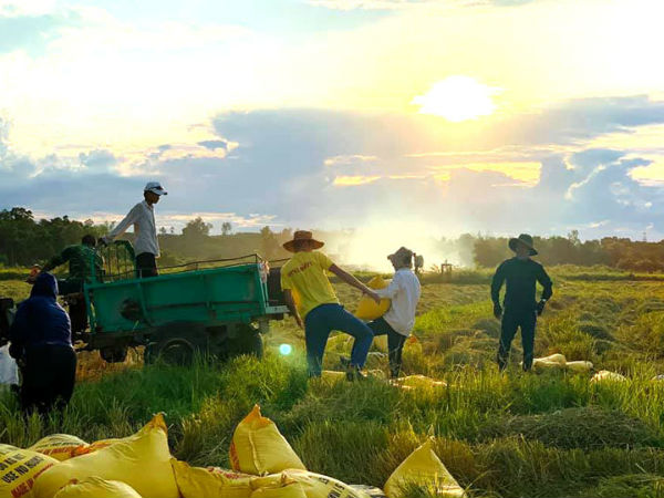 Việt Nam một năm thắng đậm, vượt Thái Lan soán ngôi số 1 thế giới
