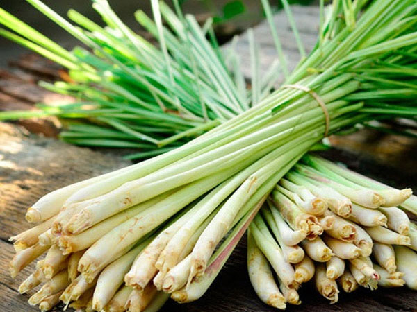 9 bài thuốc trị đau bụng do nhiễm lạnh