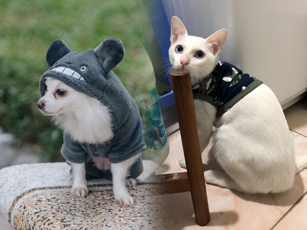 Hà Nội rét đậm rét hại, các boss cũng 'lên đồ' cưng xỉu mỗi khi ra đường!