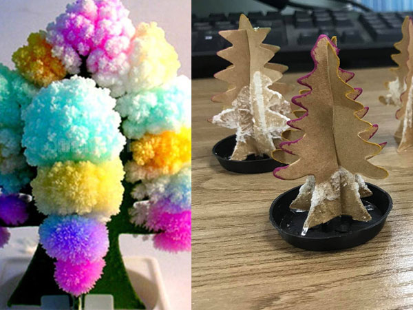 Mua cây thông Noel 'tuổi thơ' để chơi giáng sinh nhưng lại nhận về thứ như măng khô nấu cỗ, chàng trai đăng đàn giận dỗi khiến dân tình cười bò