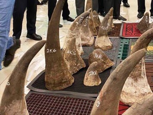 Phát hiện gần 100kg nghi sừng tê giác ở khu vực sân bay Tân Sơn Nhất
