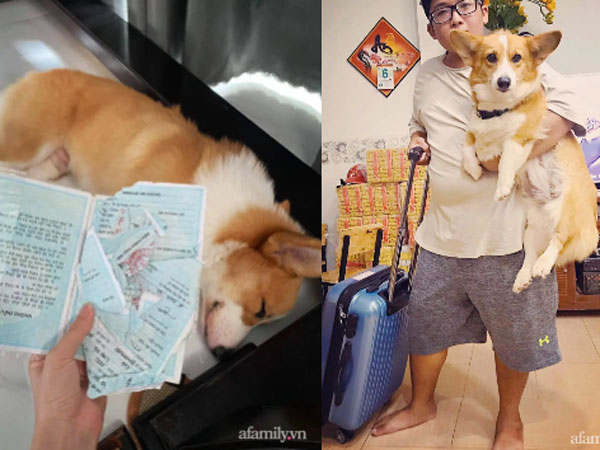 Chàng trai Sài Gòn suýt bị mẹ đuổi ra khỏi nhà vì chiều boss quá đà để đến mức sổ hộ khẩu cũng 'tan tành' trong 3 nốt nhạc