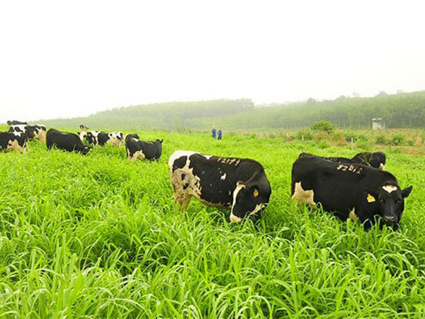 Ảnh bìa bài viết 726674