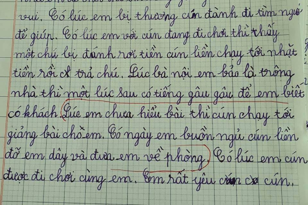 Bài văn tả cún cưng siêu lầy, thêm 1 chi tiết nhỏ khiến giáo viên nhận xét: Làm chó cũng mệt lắm, không đùa!