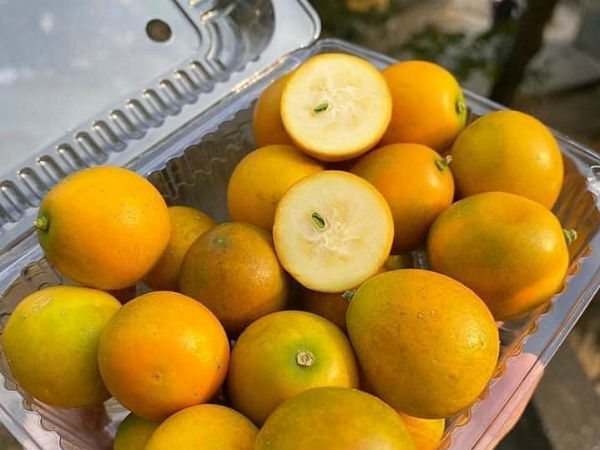 Loại quất lạ không có nước, đặc ruột giòn ngọt tràn về chợ Việt