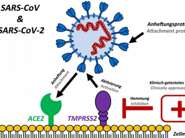 NÓNG: Phát hiện biến thể mới Virus-CoV-2 tại Việt Nam