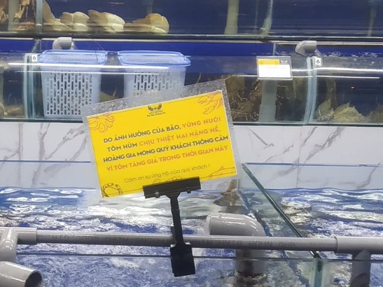 Tôm hùm tăng giá gấp 2-3 lần, cửa hàng mong khách 'thông cảm'