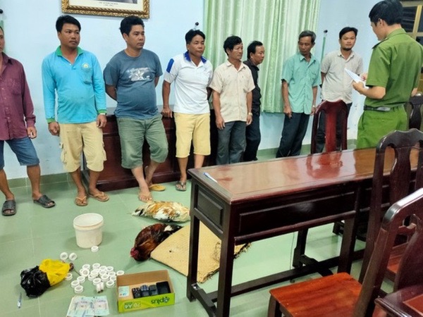 Bạc Liêu: Triệt phá sân gà Phúc Heo, khống chế 8 đối tượng