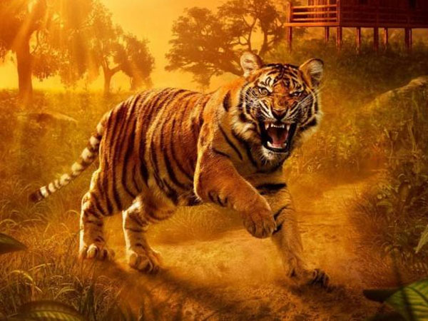 Từ giờ đến Tết Âm lịch: 3 con giáp này phát tài phát lộc, phú quý vây quanh, làm gì cũng hái ra tiền