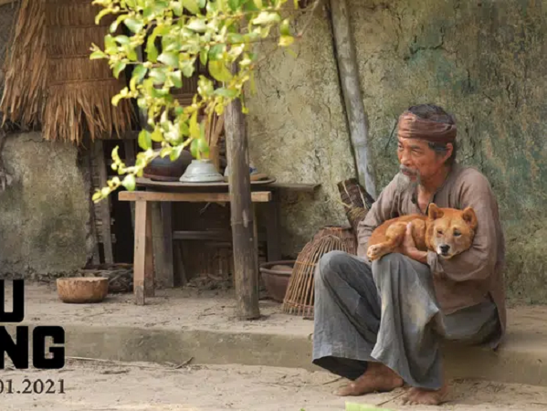 Rạp chiếu tháng 1/2021: 'Cậu Vàng', phim dịch bệnh Covid-19 đối đầu loạt bom tấn hành động - kinh dị