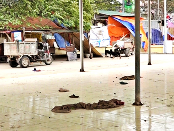 Video: Đầu tư hơn 21 tỷ, chợ dân sinh ở Hà Nội thành chỗ thả chó, đậu xe