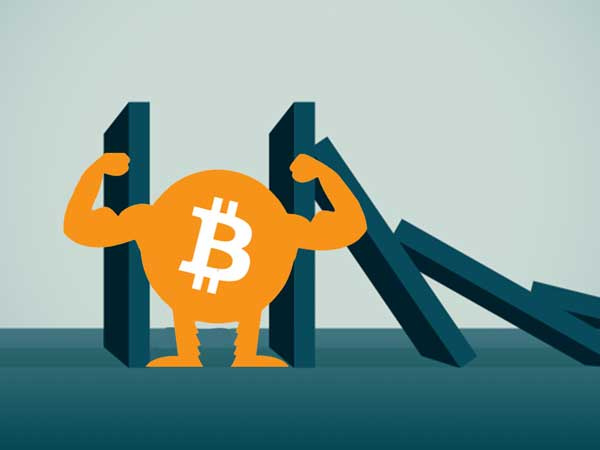 900 triệu/bitcoin: Đỉnh cao khó tin và nguy cơ đổ sụp