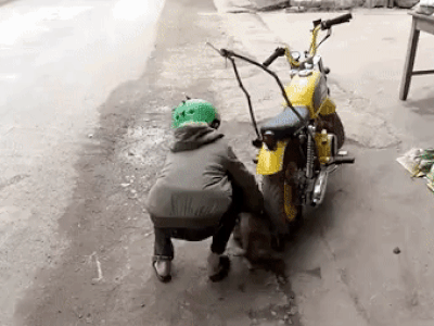Anh em Tam Mao làm clip ngược đãi động vật khiến dân tình phẫn nộ, kêu gọi report
