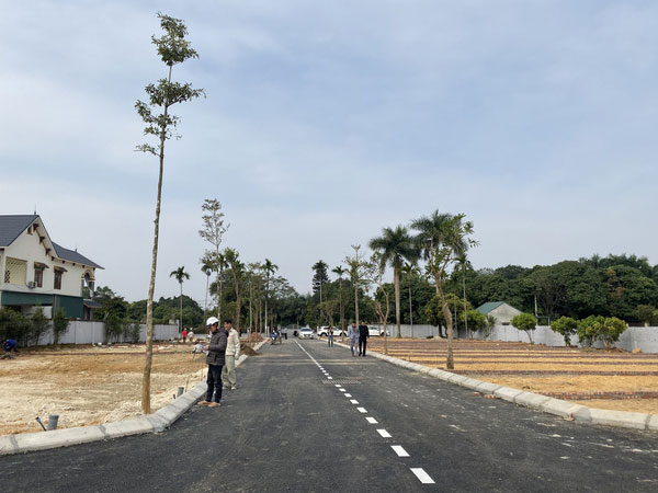 Đất nền tăng giá vẫn 'cháy' hàng, dự báo giá đất trong năm 2021 tiếp tục leo thang
