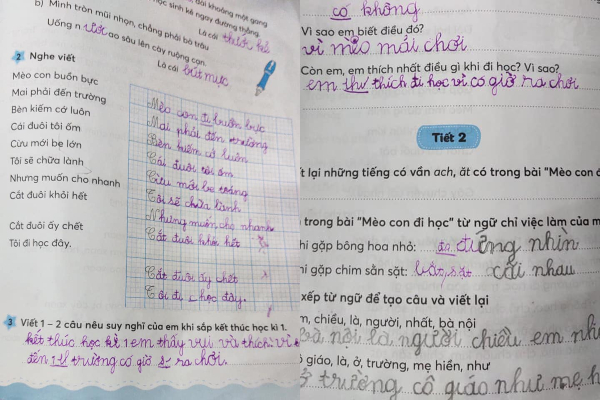 Hỏi thích gì nhất khi đến trường, câu trả lời của cậu bé lớp 1 khiến mẹ tức anh ách, dân mạng thì phì cười vì 'chất' quá