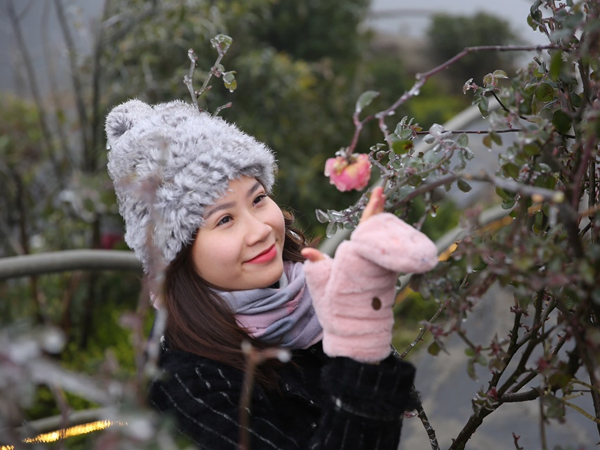 Giới trẻ đổ xô đi ‘săn’ băng
