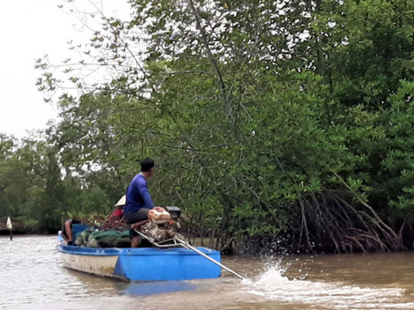 Phát hiện thi thể người mẹ cùng con trai 3 tuổi dưới kênh nước ở Cà Mau