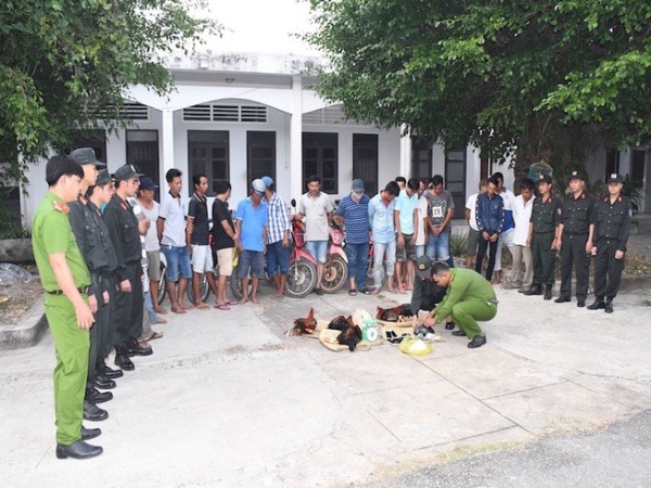 Trà Vinh: Bộ Công an đột kích trường gà giữa cánh đồng