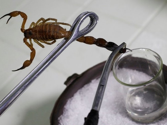 Chất lỏng đặc biệt siêu đắt đỏ có giá gần 237 tỷ đồng mỗi lít