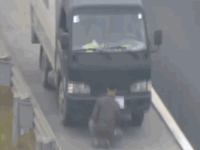 Video: Đi lùi trên cao tốc, tài xế dùng giấy che biển vẫn bị 'tóm gọn'