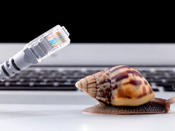 Thất vọng với chất lượng mạng Internet, người đàn ông tự xây dựng một đường cáp quang của riêng mình