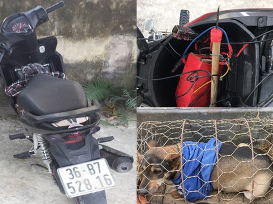 2 "cẩu tặc" mang chó câu trộm đi bán gặp ngay công an