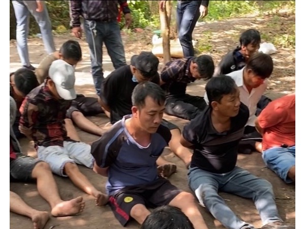 Triệt phá trường gà quy mô lớn trong rừng bùn lầy