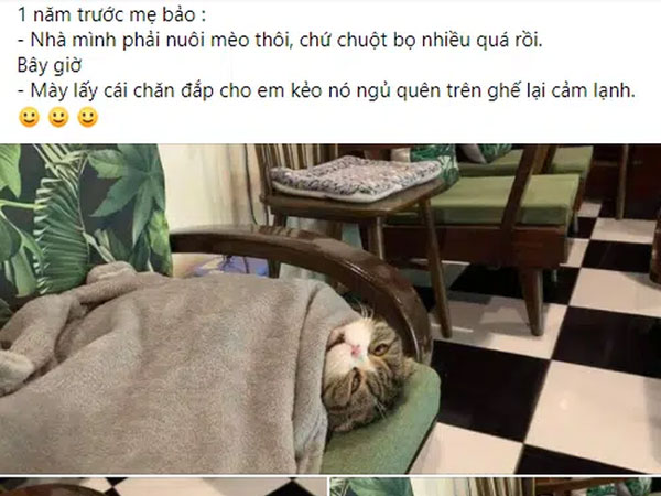 Tin được không: Bữa trước mẹ bảo mua mèo về nhà bắt chuột, bữa sau trở thành con cưng đến ngủ mẹ cũng lo cho từng tấm chăn!
