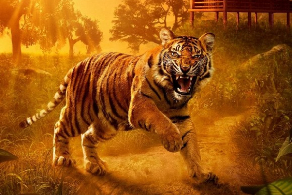 Hung tinh đeo bám, 3 con giáp này dễ gặp xui xẻo, tiểu nhân hãm hại trong những ngày cuối năm